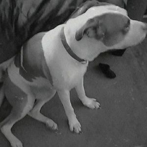 Meet your Posher, Donavin